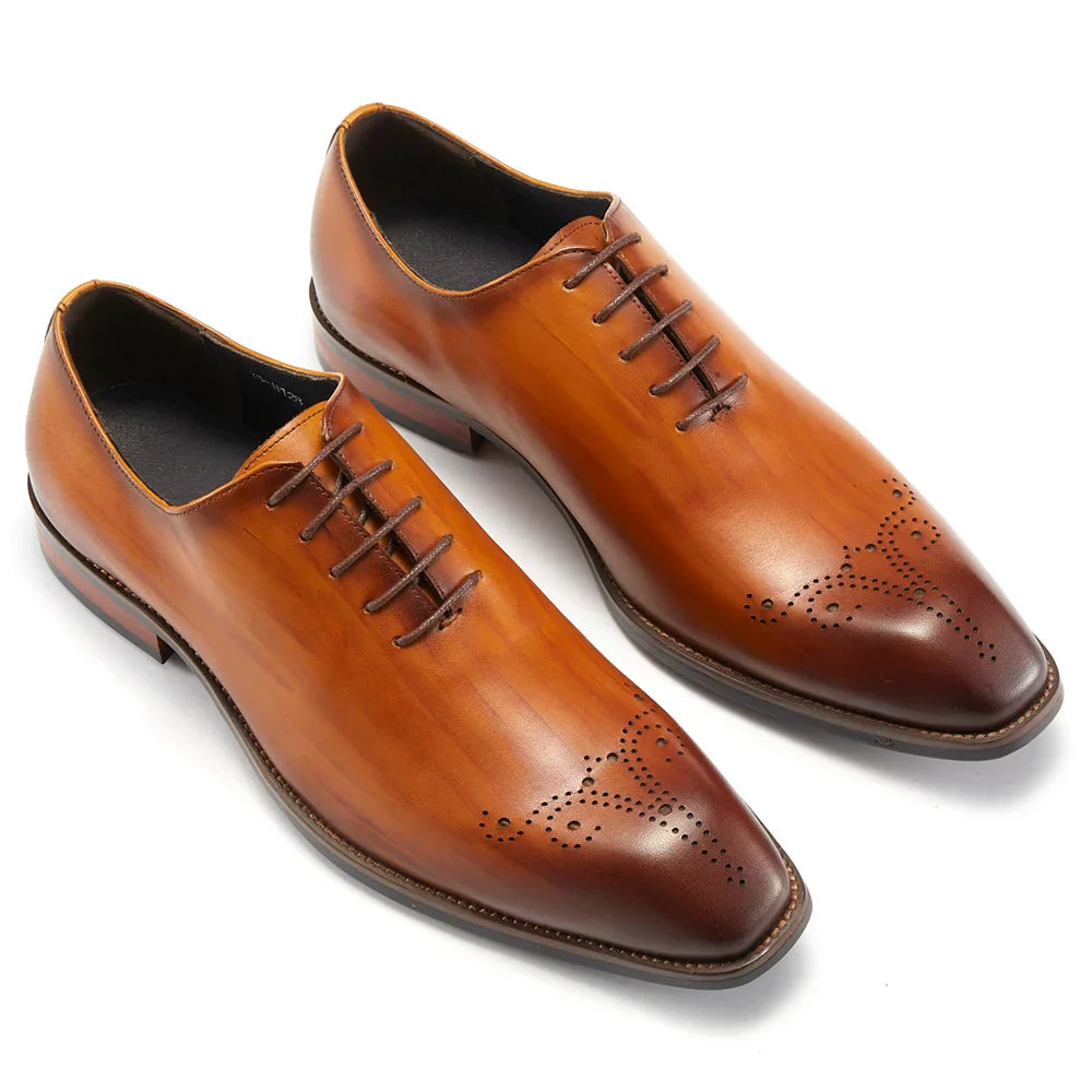 Daniel Wafer Baldinni Oxford Brogue Shoe